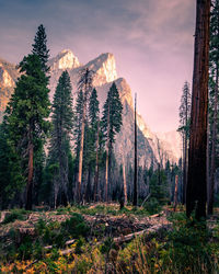 The three brothers at yosemite national park, california