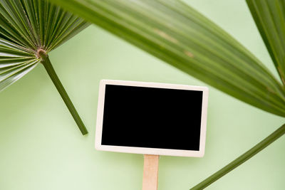 Close-up of placard and palm leaves against green background