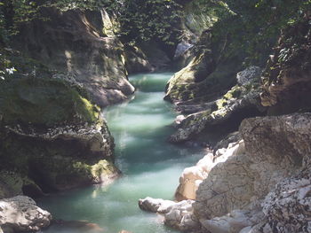 Scenic view of waterfall in forest