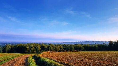 Scenic view of agricultural field against sky