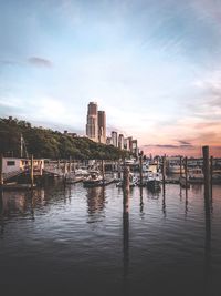 Wooden posts in river by buildings against sky