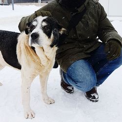 Close-up of dog