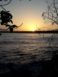 Silhouette bare tree by sea against sky during sunset