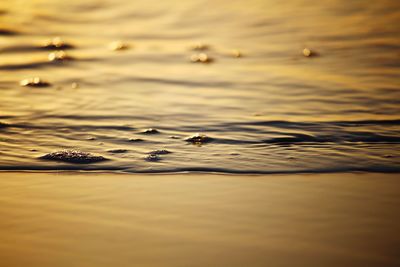 View of ducks swimming in lake