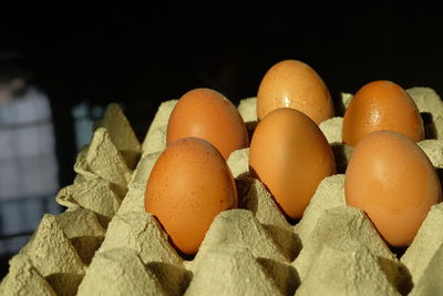 Close-up of eggs against black background