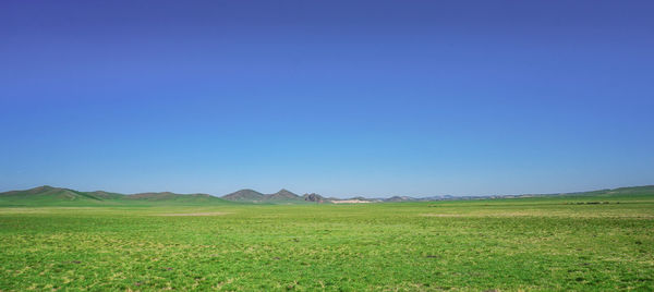 Scenic view of field against clear blue sky