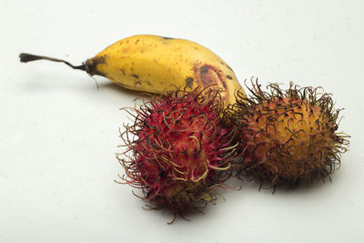 High angle view of fruit on white background