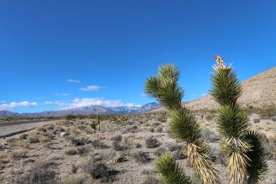 Scenic view of desert against clear blue sky