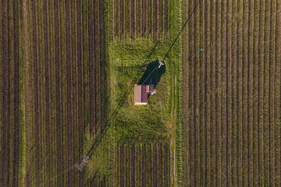 Aerial view of a house in agricultural field, sieci, tuscany, italy.