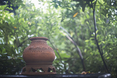 Close-up of pot plant against trees