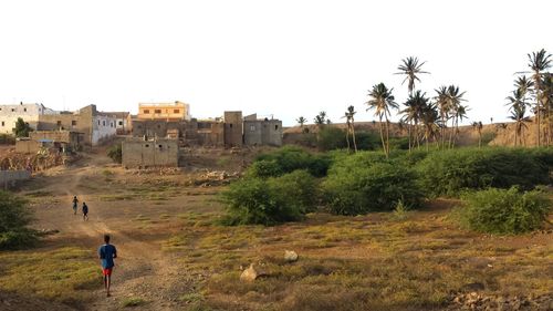 Rear view of man and palm trees against clear sky