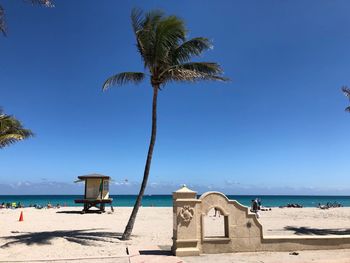 Palm trees on beach against blue sky