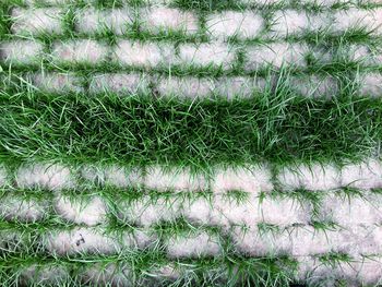 Full frame shot of tiled floor