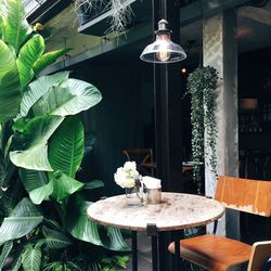 Chair and table by potted plants at sidewalk cafe