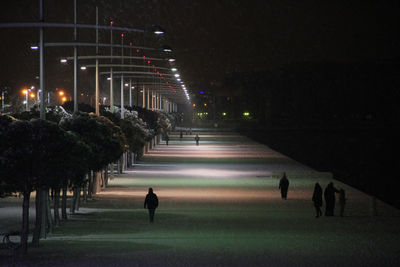 People walking on illuminated road at night