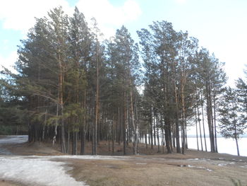 Scenic view of landscape and trees against sky