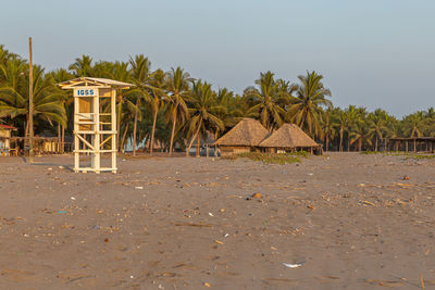 Palm trees on beach against clear sky