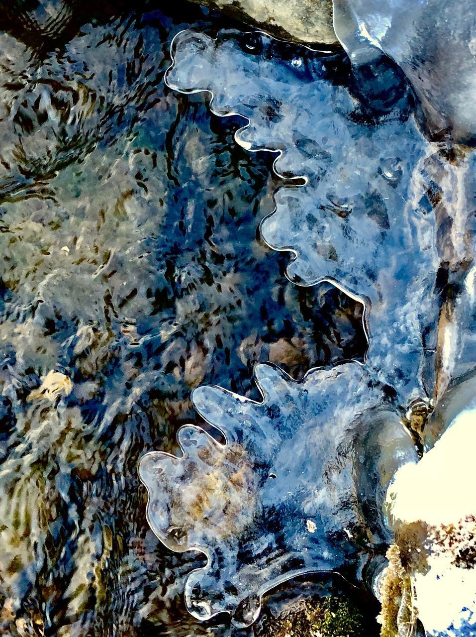 CLOSE-UP OF FROZEN WATER