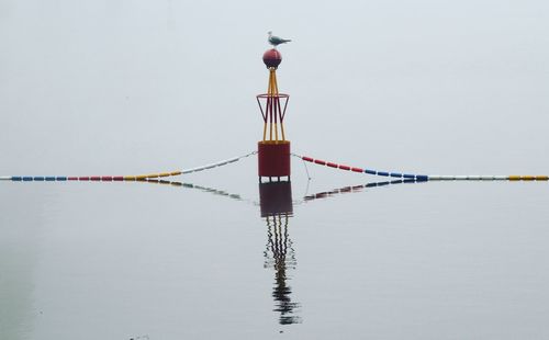 Seagull perching on buoy amidst sea
