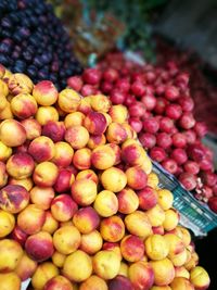 Close-up of fruits in market