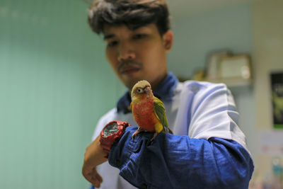 Bird perching on hand