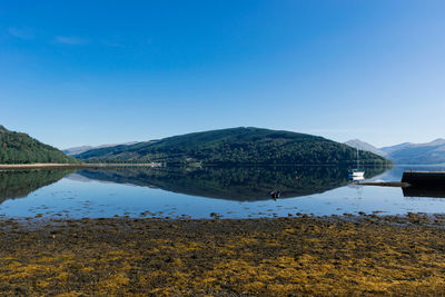 Scenic view of lake against blue sky