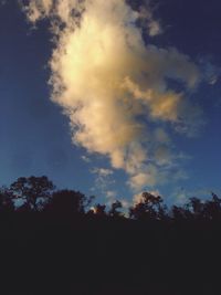 Low angle view of trees against sky