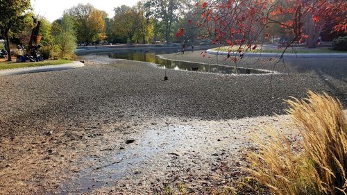 Surface level of road in park during autumn