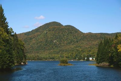 Scenic view of lake and trees against sky