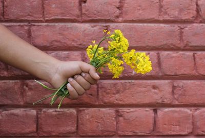 Close-up of hand holding plant against brick wall