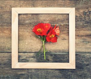 High angle view of red rose on table