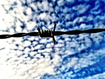 Low angle view of bird flying against sky