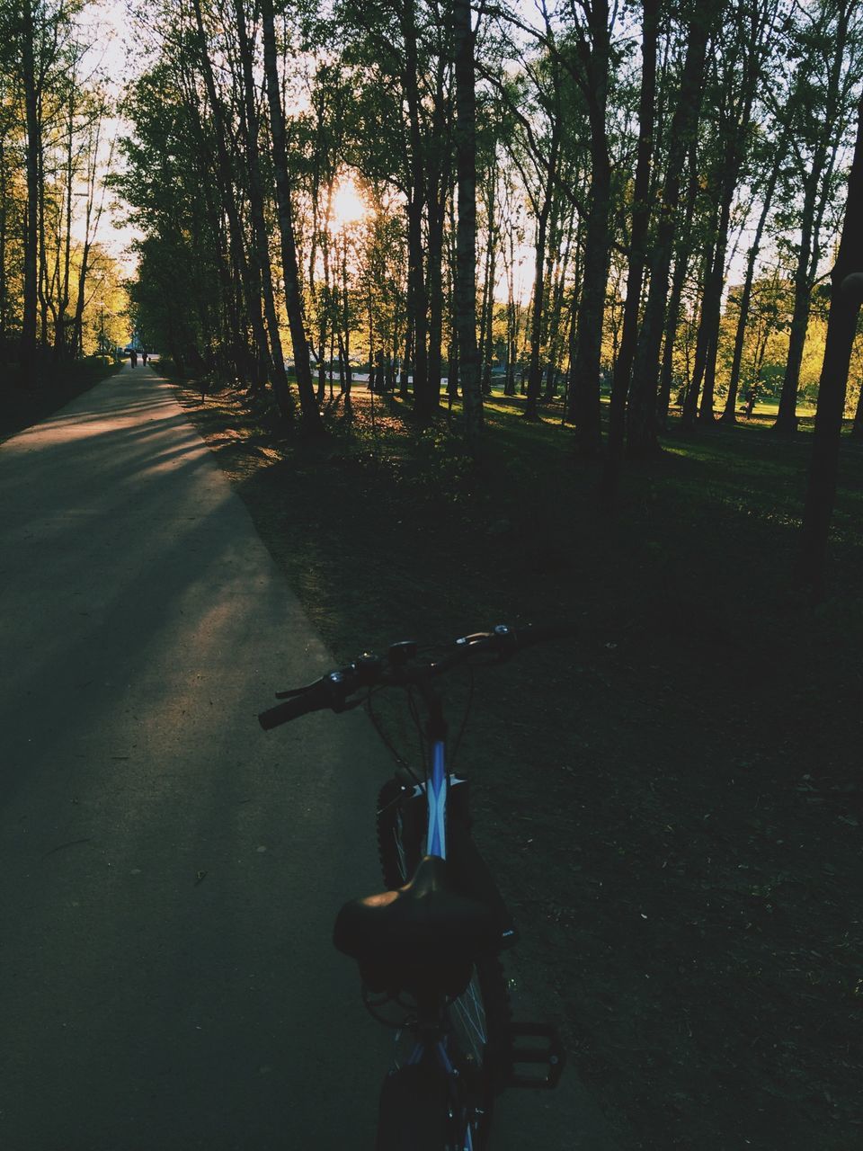 tree, transportation, sunlight, shadow, road, the way forward, bicycle, land vehicle, tree trunk, tranquility, street, mode of transport, nature, silhouette, tranquil scene, outdoors, growth, empty, footpath, park - man made space