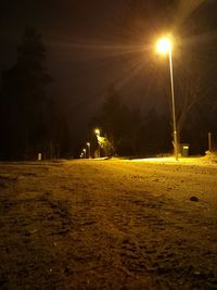 Illuminated trees against sky at night