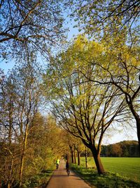 Man walking on footpath in park during autumn