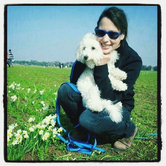 transfer print, auto post production filter, grass, field, one animal, sitting, pets, full length, looking at camera, dog, domestic animals, casual clothing, grassy, animal themes, person, leisure activity, blue, portrait