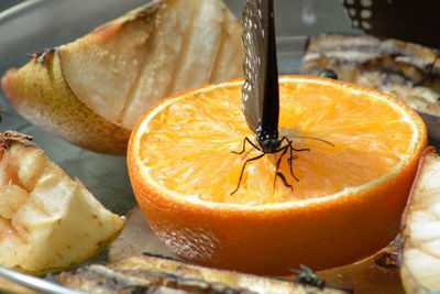 Close-up of orange slice in plate
