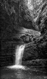 Scenic view of waterfall in forest