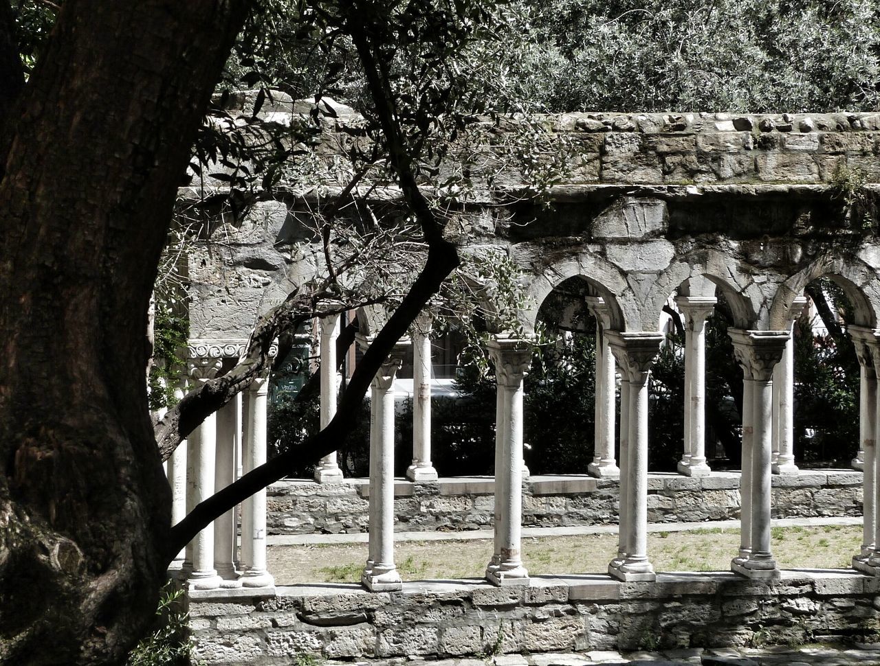 tree, built structure, architecture, growth, building exterior, old, branch, day, no people, tree trunk, park - man made space, nature, outdoors, plant, cemetery, gate, ivy, wall - building feature, tombstone, sunlight