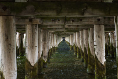 View of pier