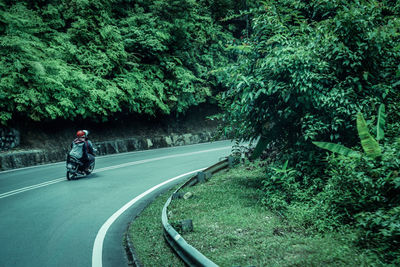 People riding motorcycle on road in forest