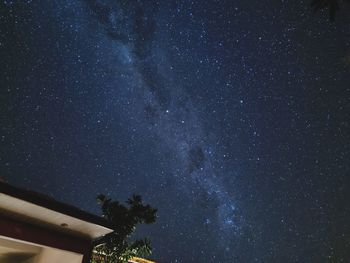 Low angle view of trees against sky at night