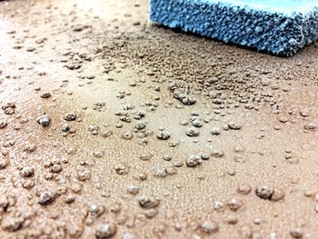 Close-up of sand on beach