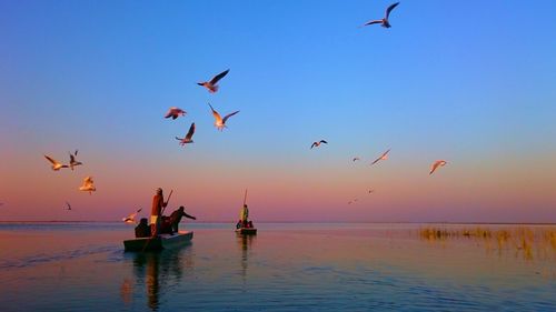 Birds flying over a boat in lake against clear sky