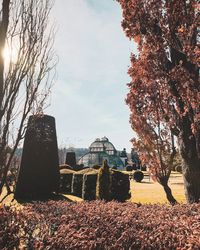 Trees growing in cemetery against sky during autumn