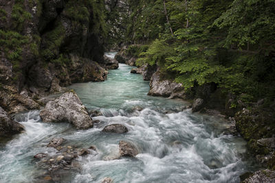 Stream flowing through rocks in forest