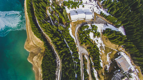 Low angle view of trees by building