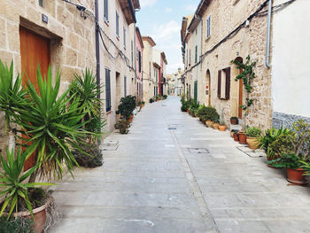 Narrow alley amidst buildings in city