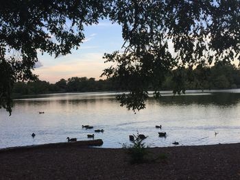 Scenic view of lake during sunset