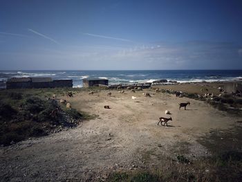 Scenic view of beach against sky